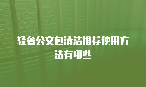 轻奢公文包清洁推荐使用方法有哪些