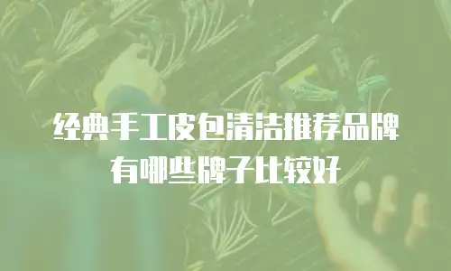 经典手工皮包清洁推荐品牌有哪些牌子比较好
