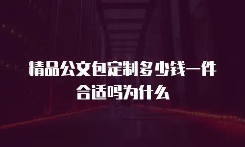 精品公文包定制多少钱一件合适吗为什么