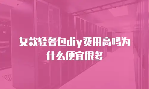 女款轻奢包diy费用高吗为什么便宜很多