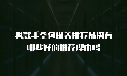 男款手拿包保养推荐品牌有哪些好的推荐理由吗