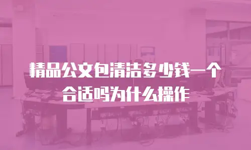 精品公文包清洁多少钱一个合适吗为什么操作