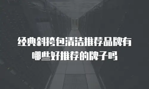 经典斜挎包清洁推荐品牌有哪些好推荐的牌子吗
