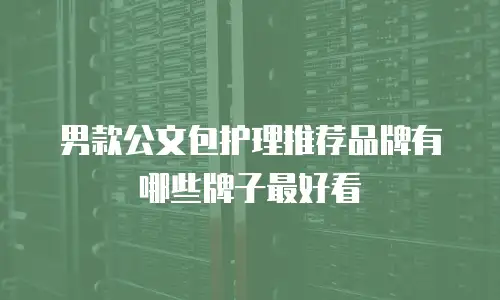 男款公文包护理推荐品牌有哪些牌子最好看