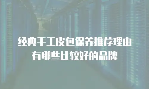 经典手工皮包保养推荐理由有哪些比较好的品牌