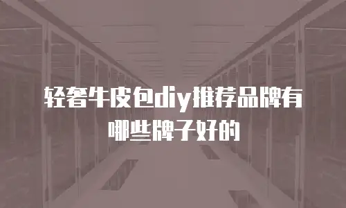 轻奢牛皮包diy推荐品牌有哪些牌子好的