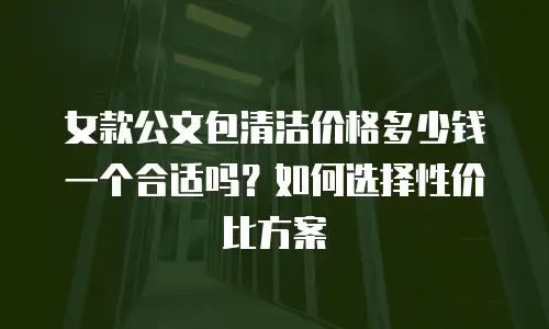 女款公文包清洁价格多少钱一个合适吗？如何选择性价比方案