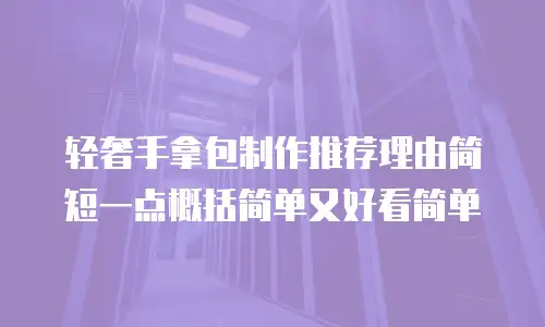 轻奢手拿包制作推荐理由简短一点概括简单又好看简单