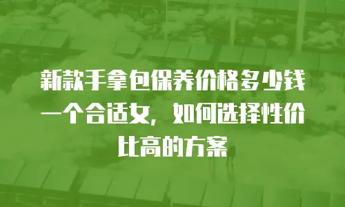 新款手拿包保养价格多少钱一个合适女，如何选择性价比高的方案