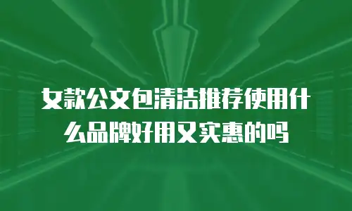 女款公文包清洁推荐使用什么品牌好用又实惠的吗