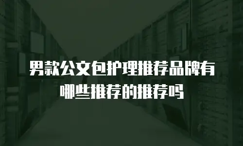 男款公文包护理推荐品牌有哪些推荐的推荐吗