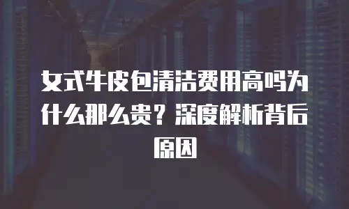 女式牛皮包清洁费用高吗为什么那么贵？深度解析背后原因