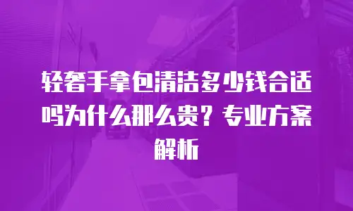 轻奢手拿包清洁多少钱合适吗为什么那么贵？专业方案解析