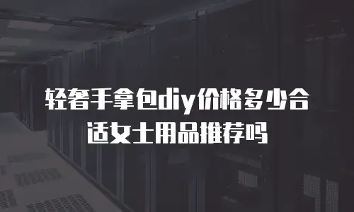 轻奢手拿包diy价格多少合适女士用品推荐吗