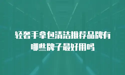 轻奢手拿包清洁推荐品牌有哪些牌子最好用吗