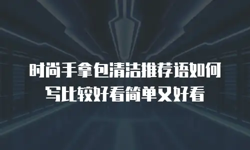 时尚手拿包清洁推荐语如何写比较好看简单又好看