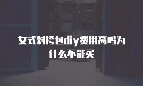 女式斜挎包diy费用高吗为什么不能买