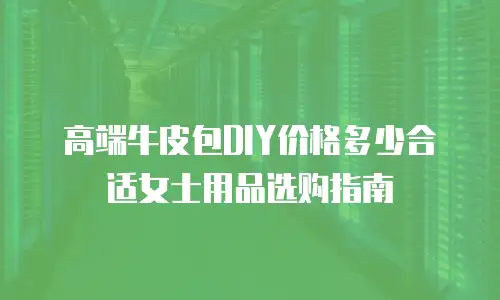 高端牛皮包DIY价格多少合适女士用品选购指南