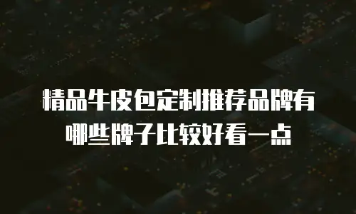 精品牛皮包定制推荐品牌有哪些牌子比较好看一点