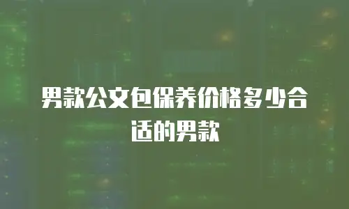 男款公文包保养价格多少合适的男款