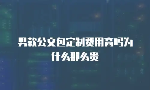 男款公文包定制费用高吗为什么那么贵