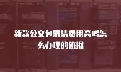 新款公文包清洁费用高吗怎么办理的依据