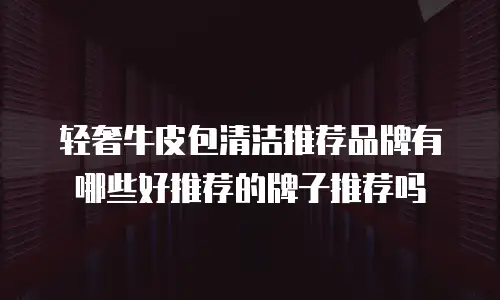 轻奢牛皮包清洁推荐品牌有哪些好推荐的牌子推荐吗