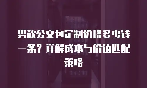 男款公文包定制价格多少钱一条？详解成本与价值匹配策略