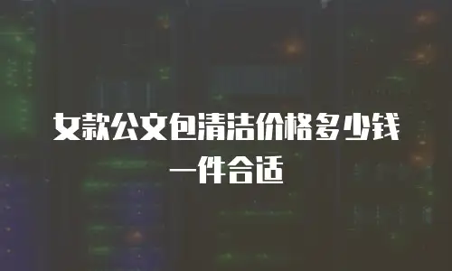 女款公文包清洁价格多少钱一件合适