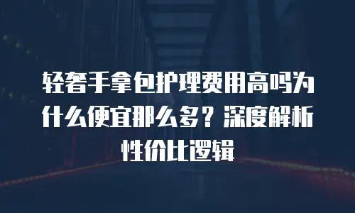 轻奢手拿包护理费用高吗为什么便宜那么多？深度解析性价比逻辑