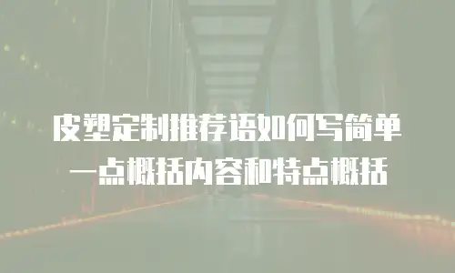 皮塑定制推荐语如何写简单一点概括内容和特点概括