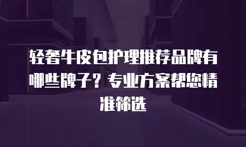 轻奢牛皮包护理推荐品牌有哪些牌子？专业方案帮您精准筛选