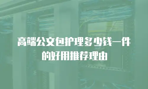 高端公文包护理多少钱一件的好用推荐理由