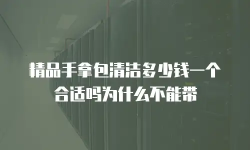精品手拿包清洁多少钱一个合适吗为什么不能带