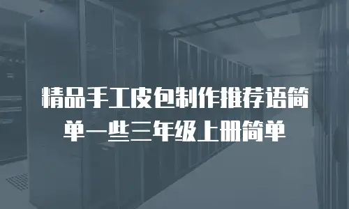 精品手工皮包制作推荐语简单一些三年级上册简单