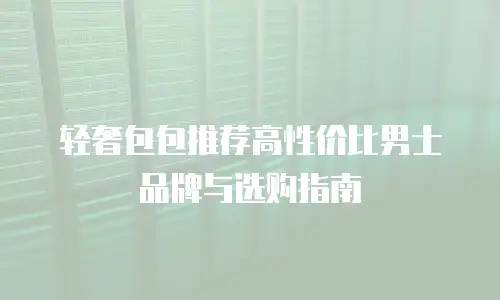 轻奢包包推荐高性价比男士品牌与选购指南