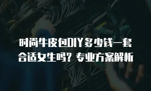 时尚牛皮包DIY多少钱一套合适女生吗？专业方案解析