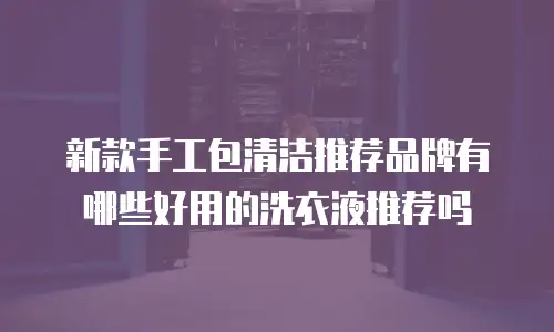 新款手工包清洁推荐品牌有哪些好用的洗衣液推荐吗