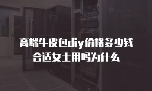 高端牛皮包diy价格多少钱合适女士用吗为什么