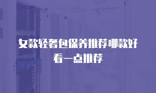 女款轻奢包保养推荐哪款好看一点推荐
