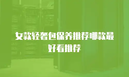 女款轻奢包保养推荐哪款最好看推荐