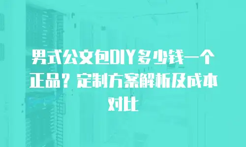 男式公文包DIY多少钱一个正品？定制方案解析及成本对比