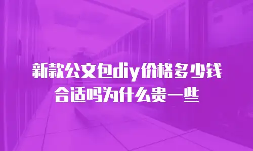 新款公文包diy价格多少钱合适吗为什么贵一些