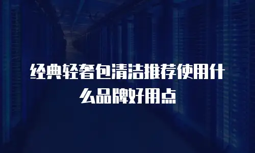 经典轻奢包清洁推荐使用什么品牌好用点