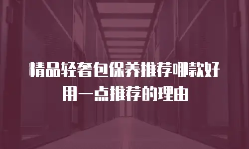 精品轻奢包保养推荐哪款好用一点推荐的理由