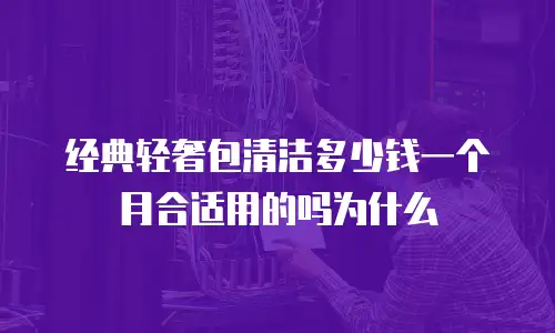 经典轻奢包清洁多少钱一个月合适用的吗为什么