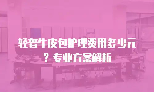 轻奢牛皮包护理费用多少元？专业方案解析
