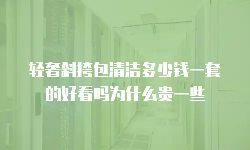 轻奢斜挎包清洁多少钱一套的好看吗为什么贵一些