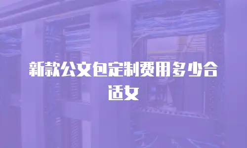 新款公文包定制费用多少合适女
