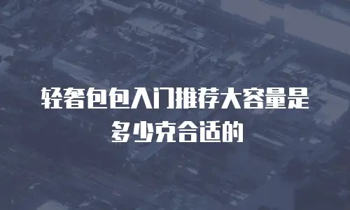 轻奢包包入门推荐大容量是多少克合适的